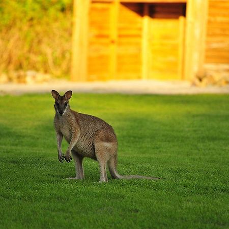 Paradise Bay Eco Escape Long Island Zewnętrze zdjęcie