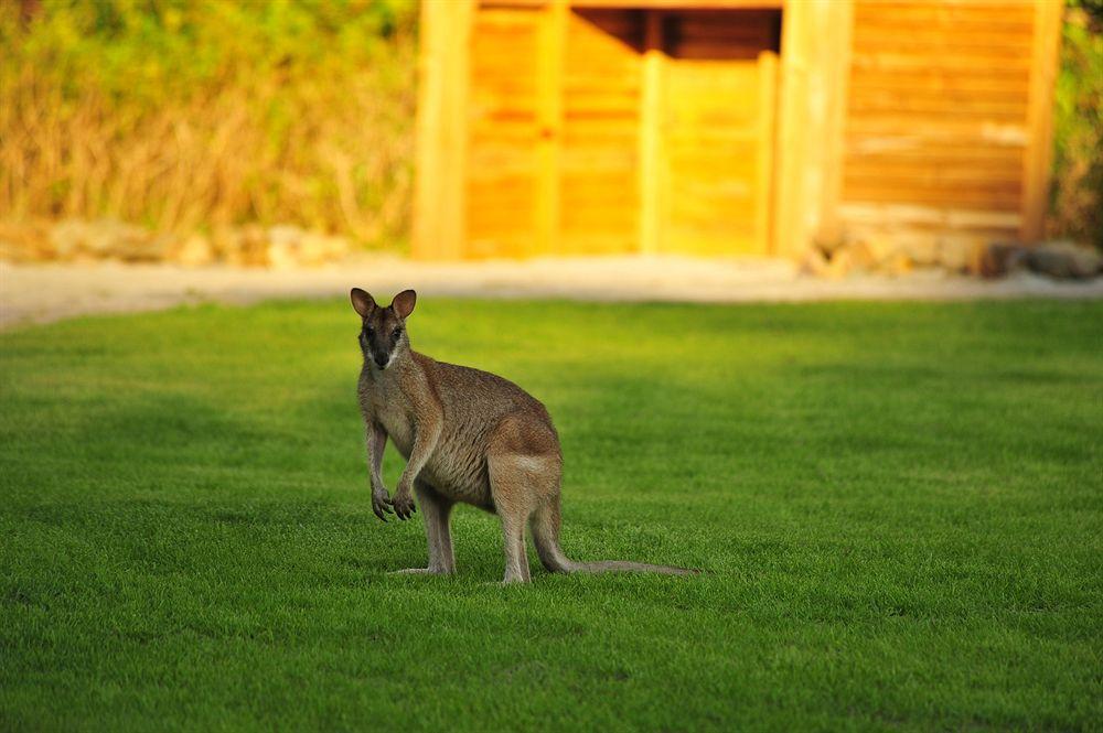 Paradise Bay Eco Escape Long Island Zewnętrze zdjęcie
